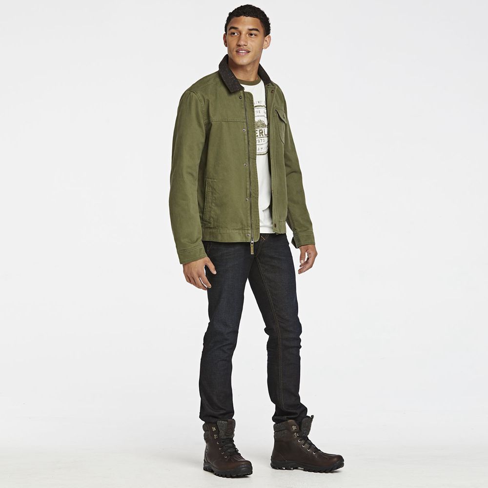 Bota Neve Masculino - Timberland Chillberg Mid Impermeavel - FDLNM6084 - Marrom Escuro